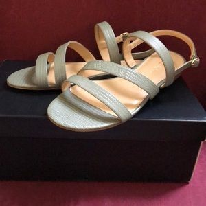 NIB Talbots sage strapping low sandals